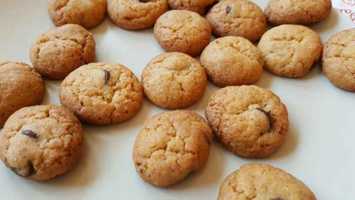 Probando probando galletita - 2