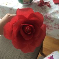 A 29 días y algunas cositas - 4