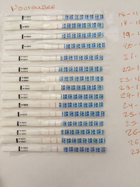 Pruebas Abortos de Repetición 1