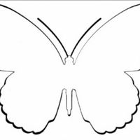 Mariposas de agradecimiento - 2