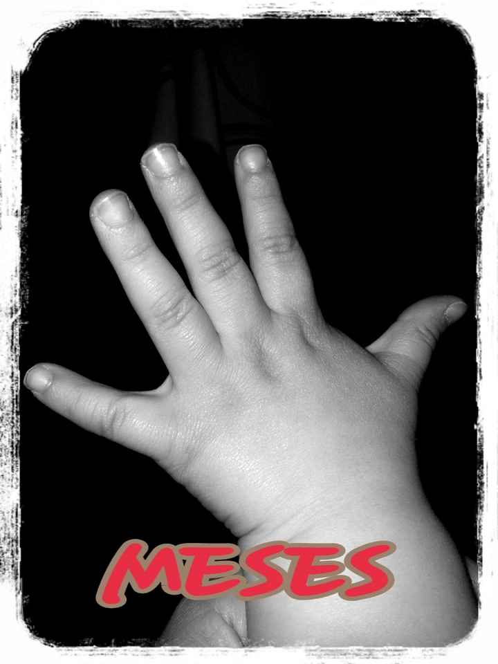 5 meses!!!  - 1
