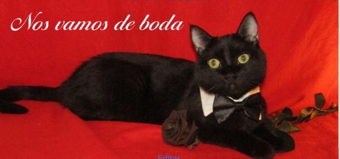 Informar cambio fecha y recordarla 2 meses antes... 3