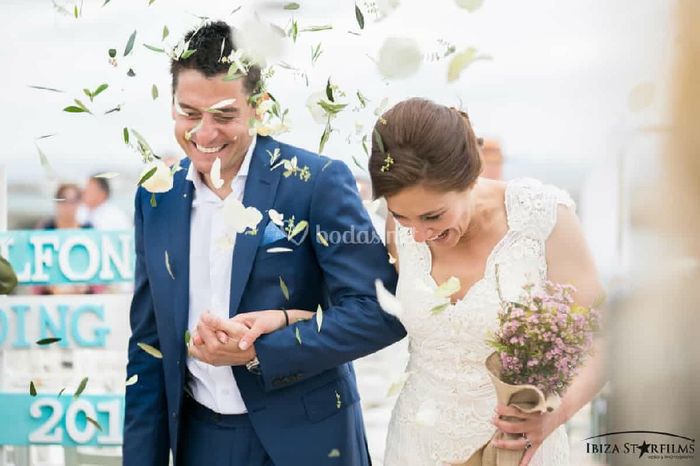 Hojas de olivo como confeti 7