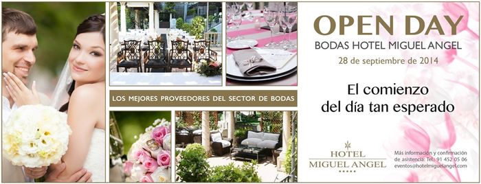 Hotel Miguel Angel
