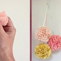 Pompom II