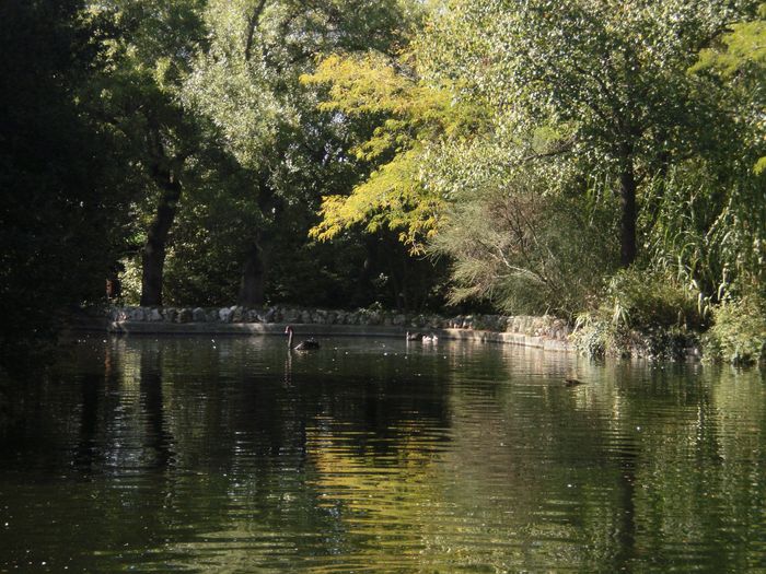 El Capricho