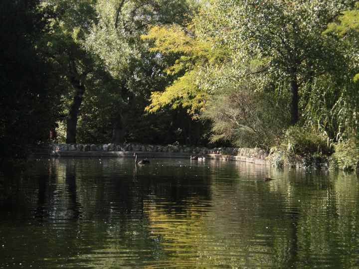 El Capricho