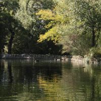 El Capricho