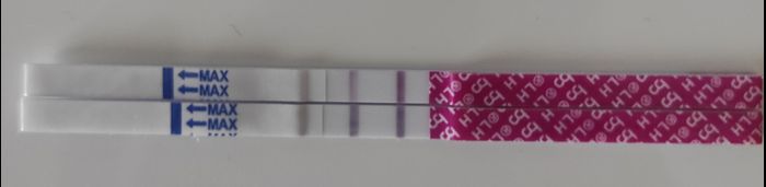 buscadoras con Sop/op - 1