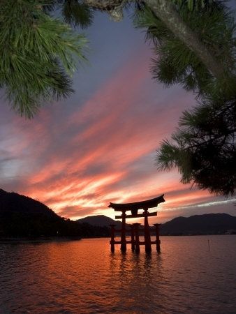 Torii de Miyajima de noche