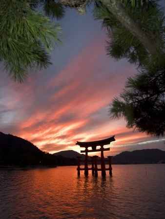 Torii de Miyajima de noche