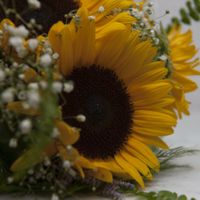 mi ramo de girasoles