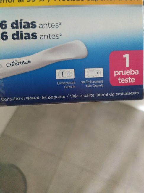 Luchadoras Embarazadas 1