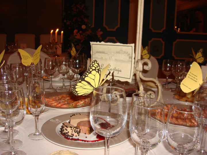 mariposas