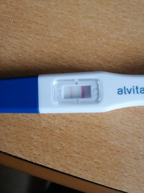 Proceso tratamiento fiv - 1