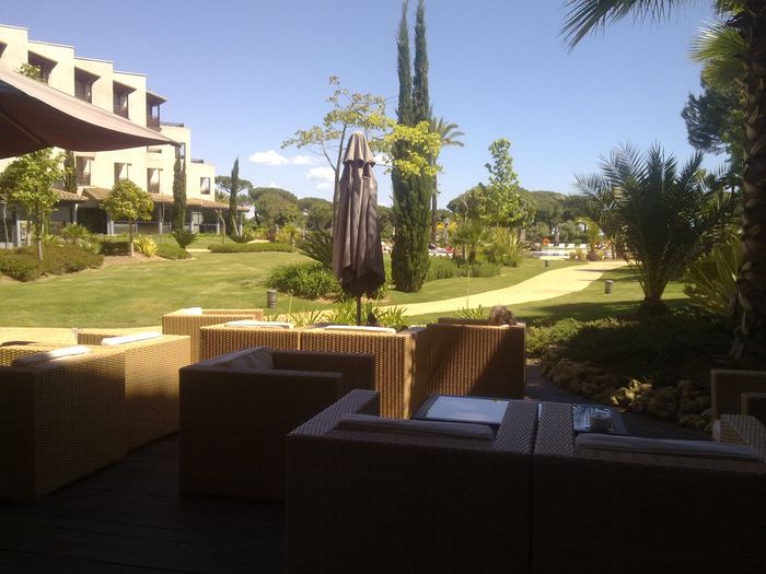 Terraza jardin