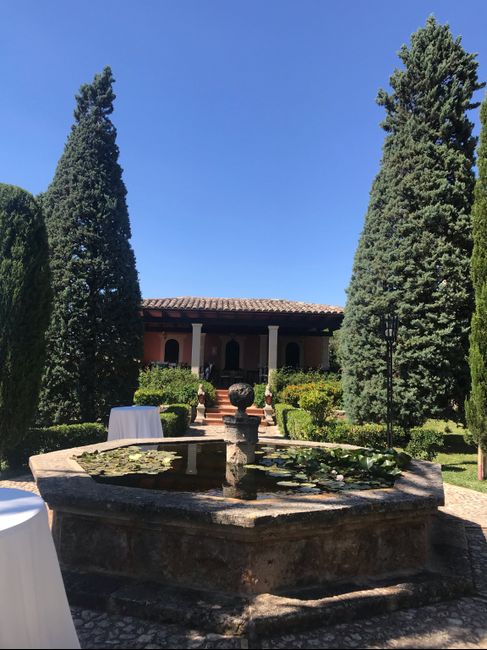 Nuestra finca 😍 - 4