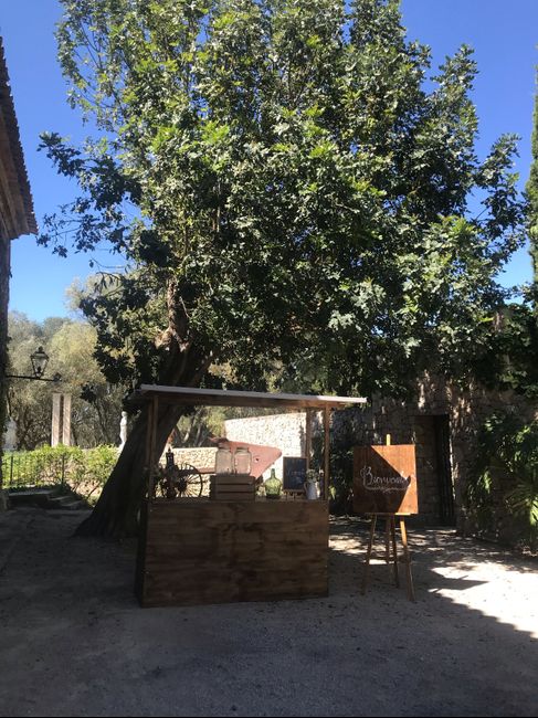 Nuestra finca 😍 - 8
