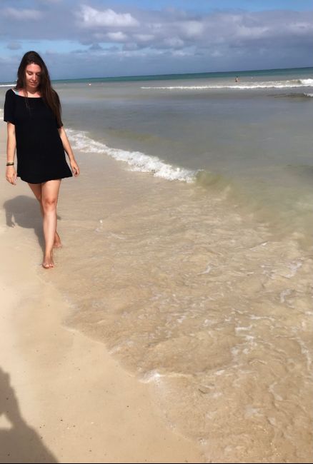 Algas en Riviera Maya!!!!! - 1