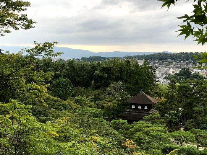 Japón septiembre experiencia 5