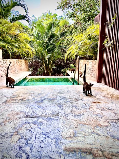 Riviera maya luna de miel. 1