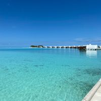 Maldivas 🏝🌺🍹🦈🐠🇲🇻 - 1