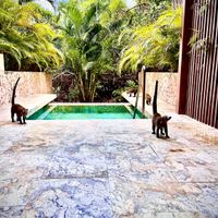 Riviera maya luna de miel. - 1