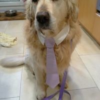 Kai con su traje de boda