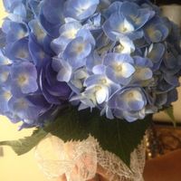 hortensias