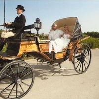 Caballos blancos o negros para una boda?? - 1