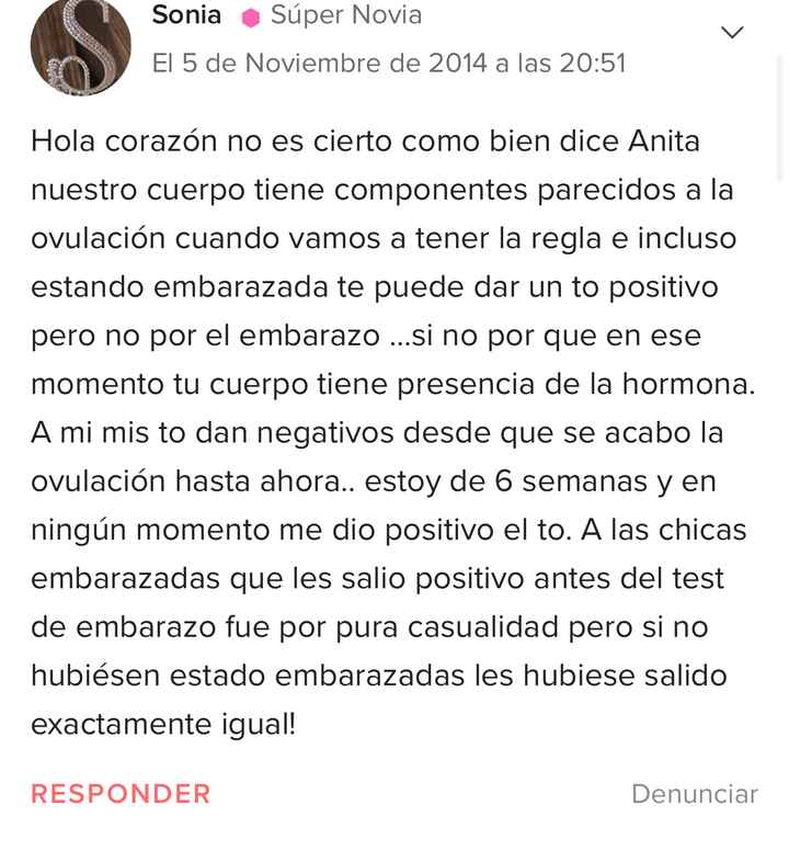 Buscadoras febrero 2024 - 1