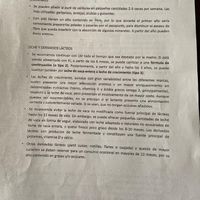 Futuras mamás septiembre 2019 - 8