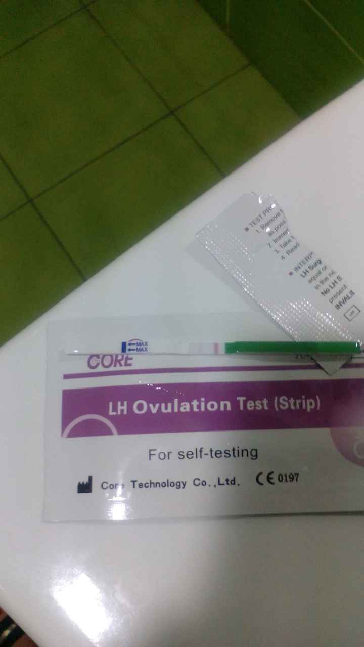 Test ovulación