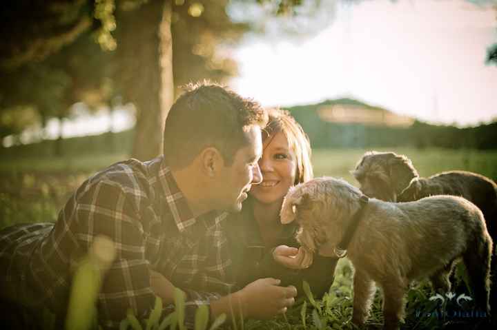 PREBODA CON MASCOTAS