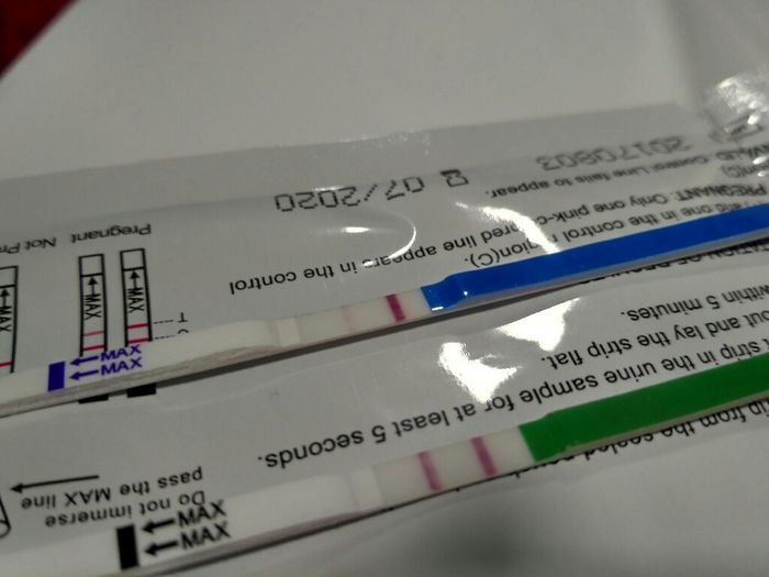 Los test de ovulaciÓn predicen el embarazo? 3