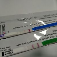 Los test de ovulaciÓn predicen el embarazo? - 1