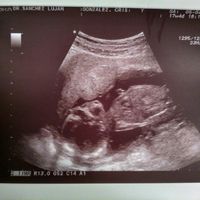 Nuevo! Futuras mamas Septiembre 2018 - 1