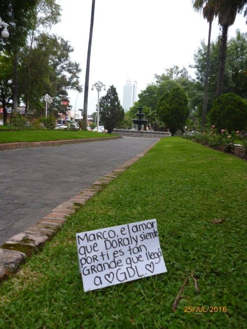 Ayuda !
