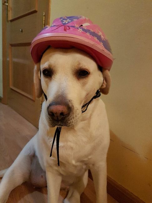  ¿quién no? - 1