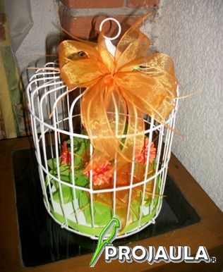 imagen 11