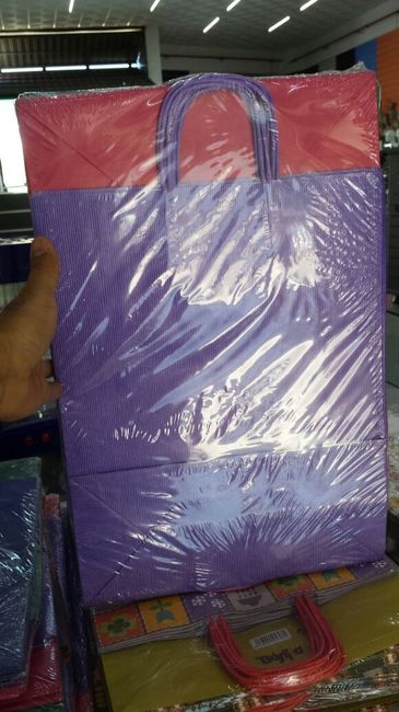 Hoy iré a buscar bolsas, proyecto 3