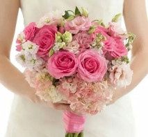 look novia
