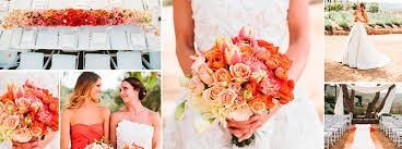 look novia