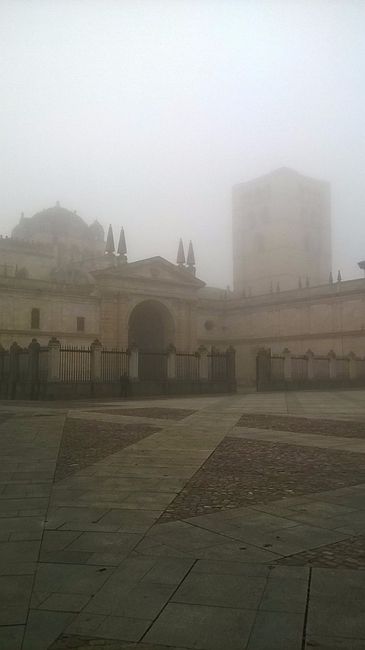 Zamora en niebla