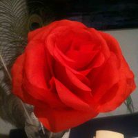 Flor gigante