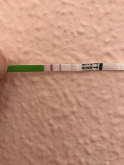Test de ovulacion - 1
