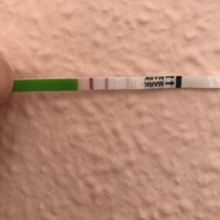 Test de ovulacion - 1