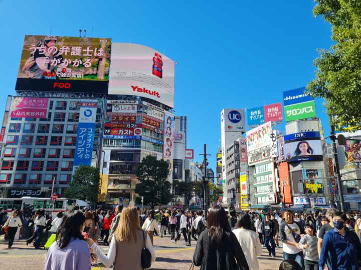 Nuestra luna de miel en Japón!! - 15