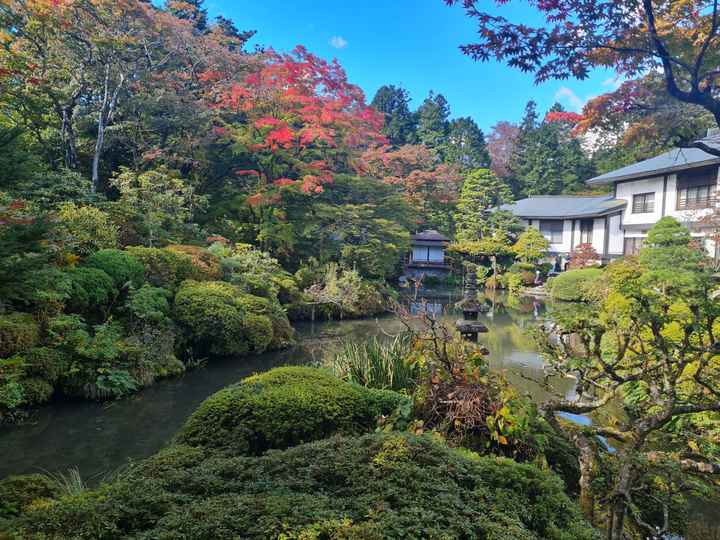 Nuestra luna de miel en Japón!! - 16