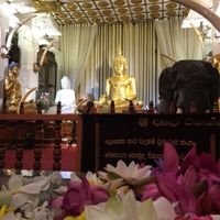 Luna de miel Sri Lanka , dinero en efectivo si o no (desde España) - 1